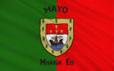 Mayo County Flag and Coat of Arms
