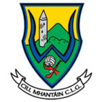 Wicklow GAA Crest